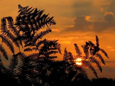 回乡，追一场日落
