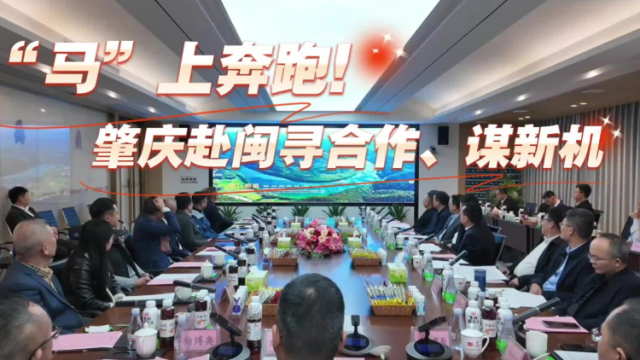 视频｜“马”上奔跑！肇庆赴闽寻合作、谋新机