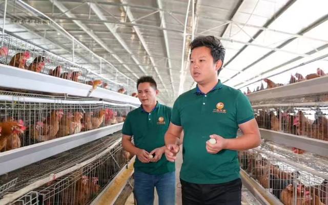 谢汝朋（右）返乡创业十年，始终扎根养殖一线。