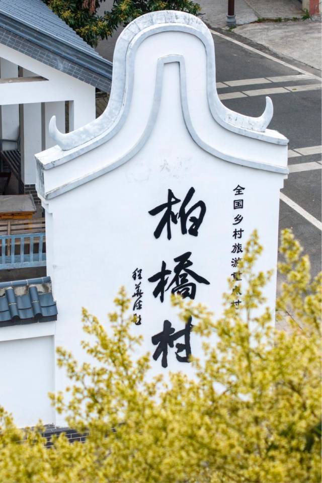 荔林环绕的“天下荔枝第一村”茂名市高州市柏桥村，在荔林的花黄叶绿中十分醒目。