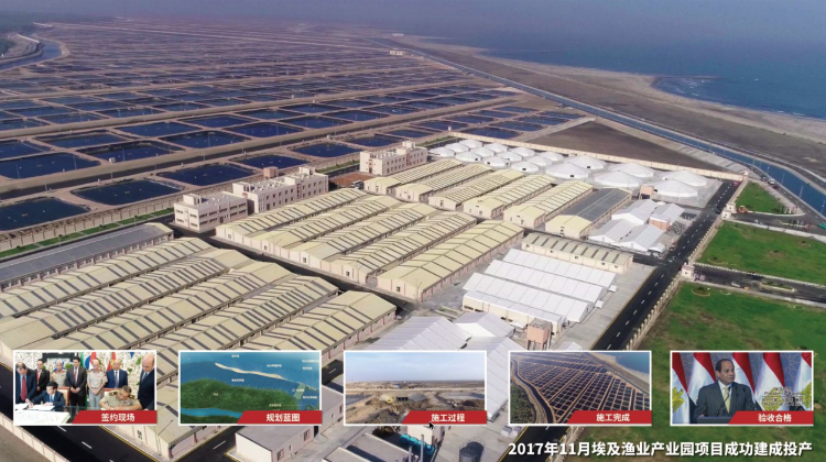 广货行天下丨广东恒兴向世界输出中国水产标准登上央视