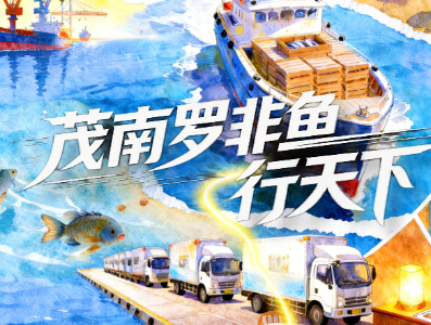茂南罗非鱼行天下