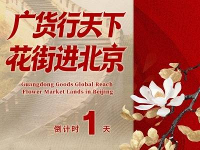 明天见！我们把岭南的春天，带进北京