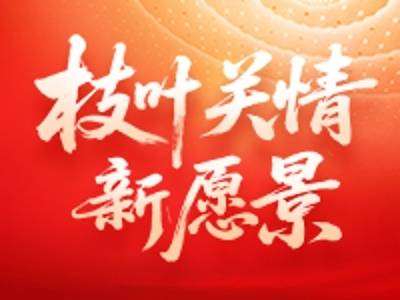 枝叶关情新愿景——代表委员献良策传民声