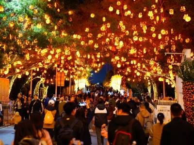 南沙邀你一站式逛吃玩拍！2026粤港澳大湾区灯会消费嘉年华来了