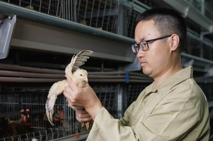 鸡舍里走出“大国工匠”，来自广东云浮！