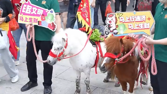 视频｜马到成功！两个“神秘嘉宾”来佛山行通济