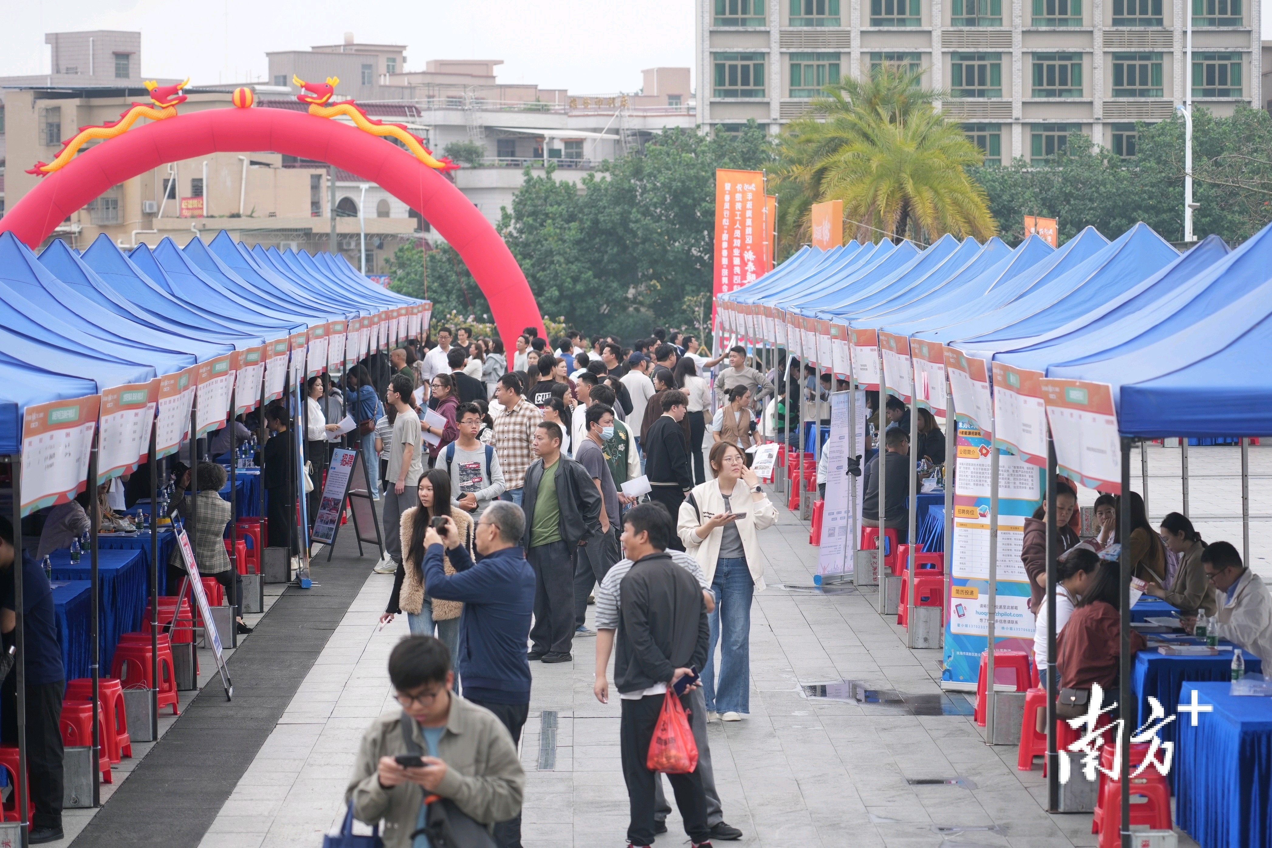 求职者与企业对接交流。  南方+ 钱文攀 拍摄