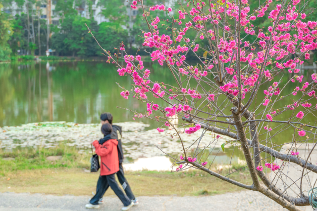 华农  受访者供图