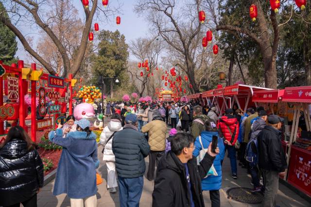 通讯员 林荫 供图
