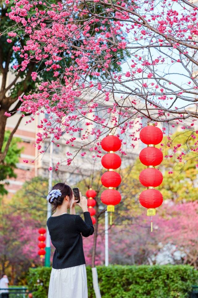 樱花树下办集市  受访者供图
