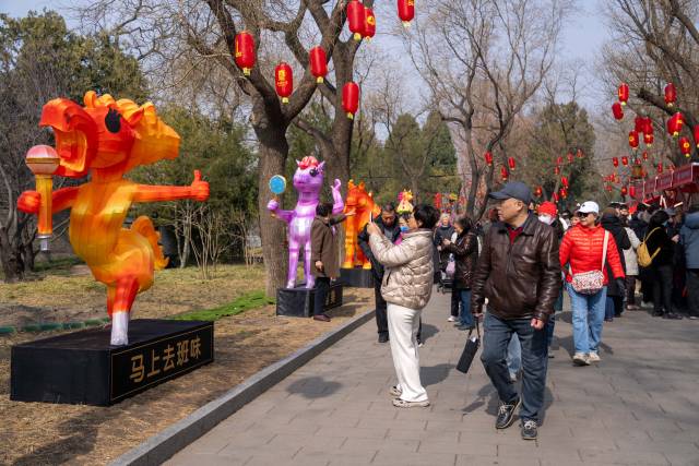 通讯员 林荫 供图