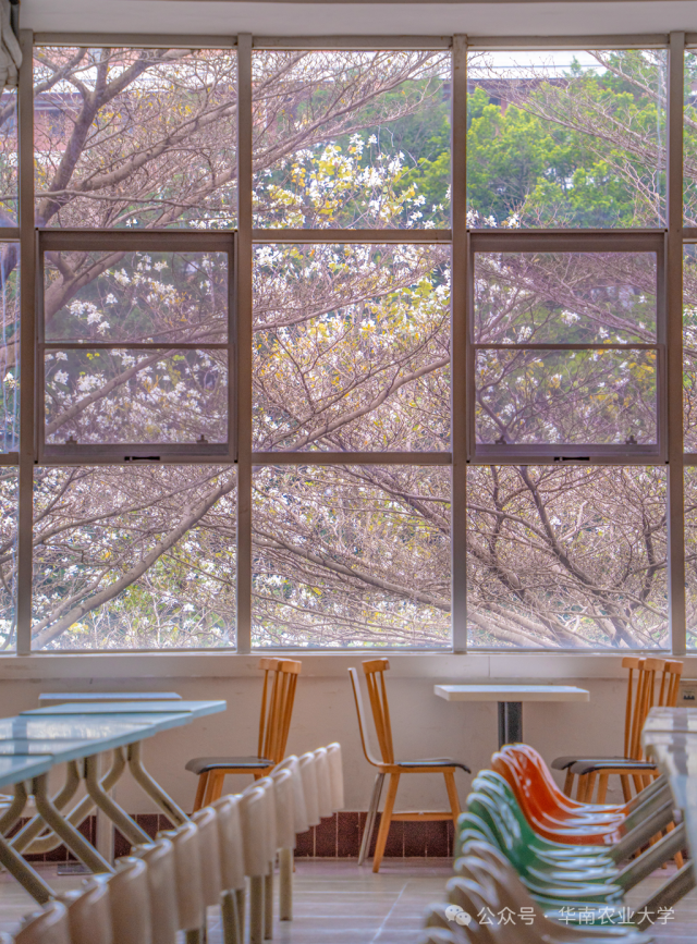 华农  受访者供图