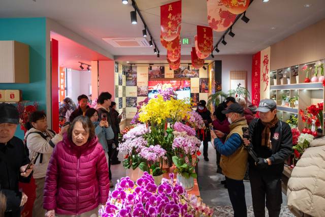 通讯员 林荫 供图