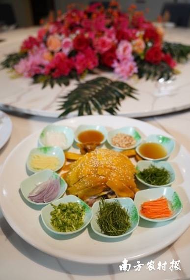 清远鸡  受访者供图