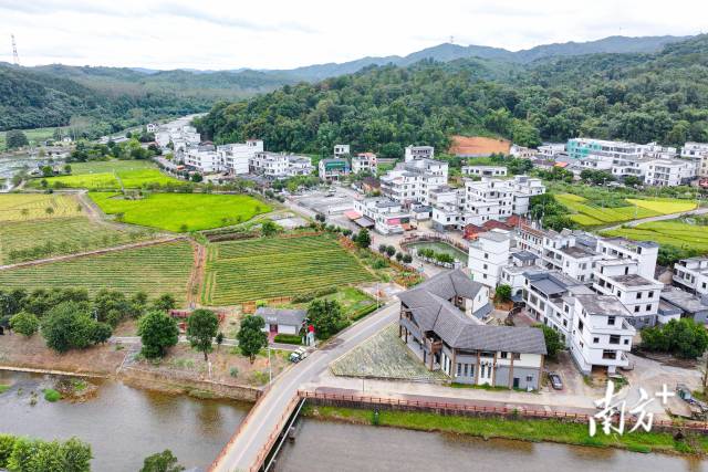2026年1月，连樟村成功创建为国家3A级旅游景区。南方+记者曾亮超 摄