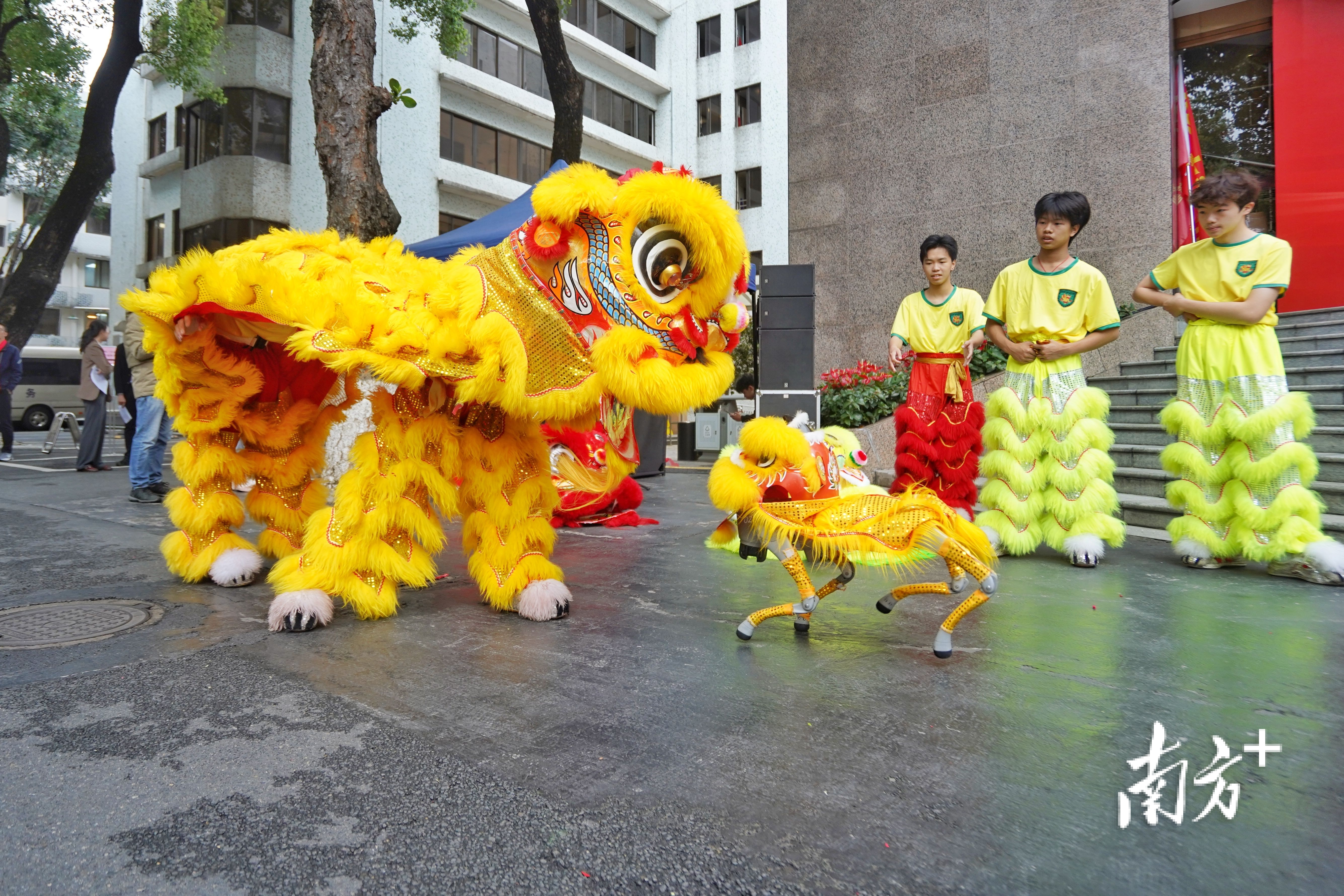 机器狮与传统醒狮斗舞,又萌又有科技感。