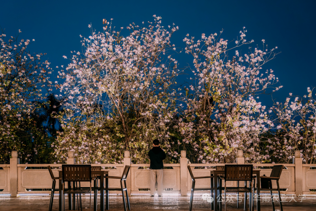 华农  受访者供图