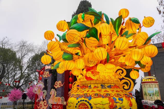 通讯员 林荫 供图