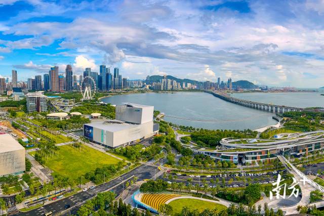 深港现代服务业合作区。南方+记者 朱洪波 摄