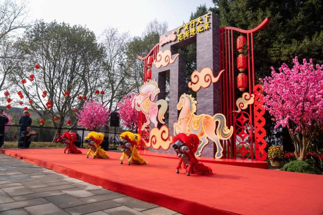 通讯员 林荫 供图