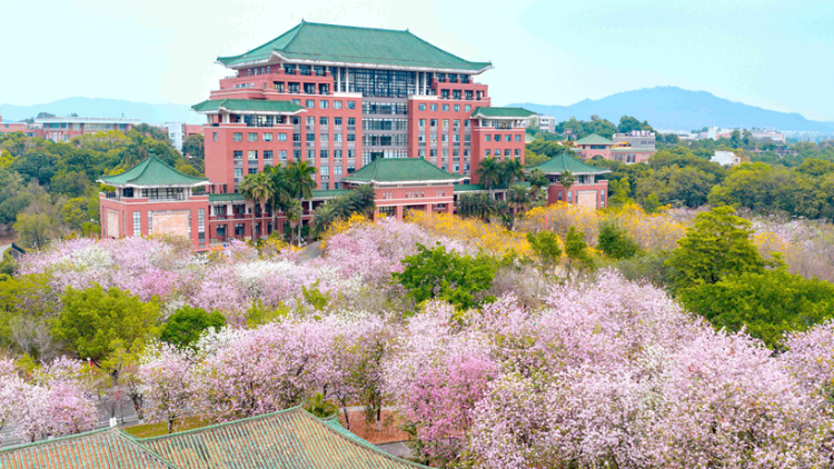 樱花树下办集市，浪漫与烟火双向奔赴！这波春日盛宴约定你