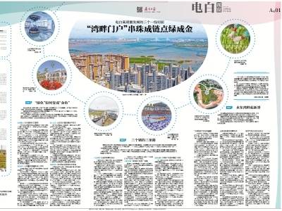 “湾畔门户”串珠成链点绿成金｜速览《南方日报·电白视窗》第254期