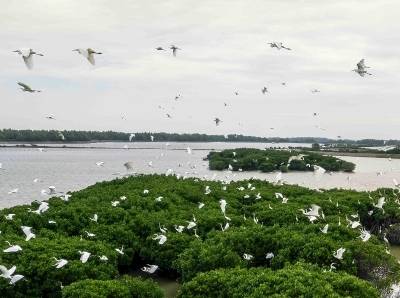 广东：走在前作示范挑大梁