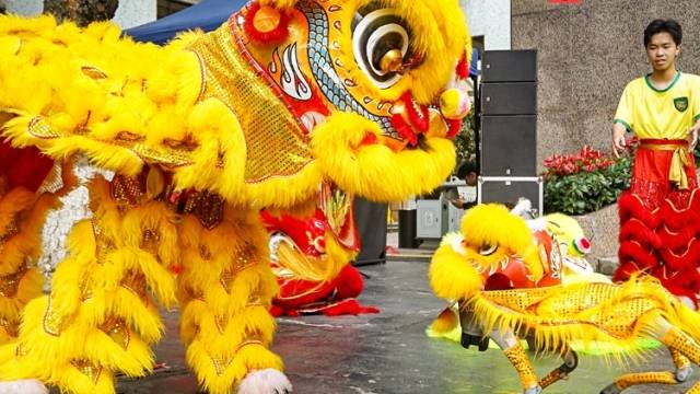 视频｜又萌又有科技感！机器狮与传统醒狮佛山斗舞