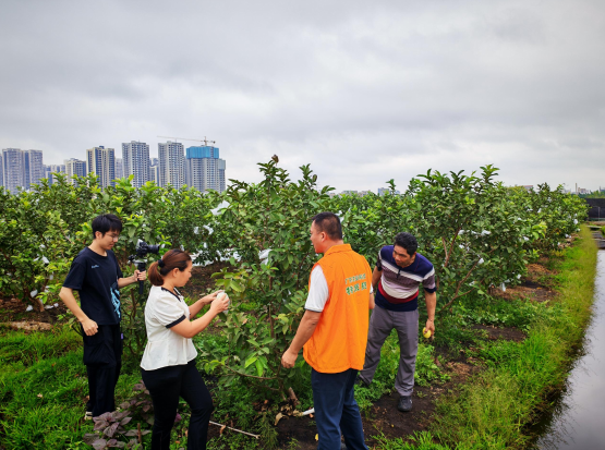 南方农村报 徐建杭 绘图