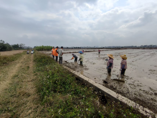 南方农村报 徐建杭 绘图