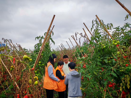 南方农村报 徐建杭 绘图