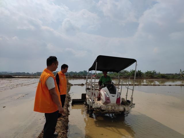 南方农村报 徐建杭 绘图