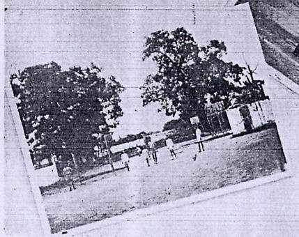 图集｜从1906到2026，看莞城中心小学的百廿变迁