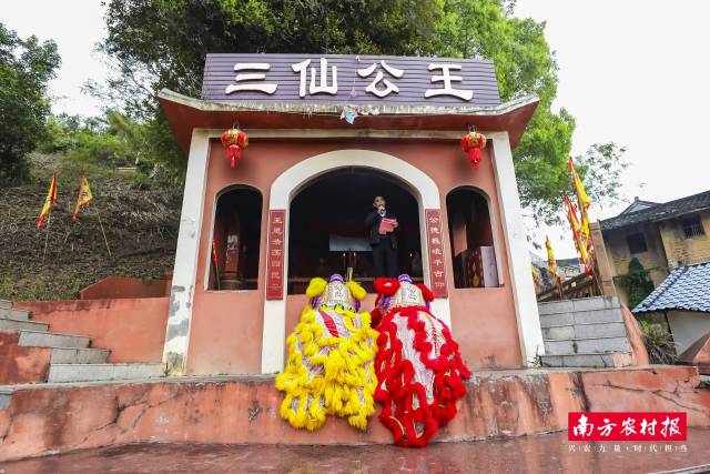 南方农村报 吴秒衡 拍摄