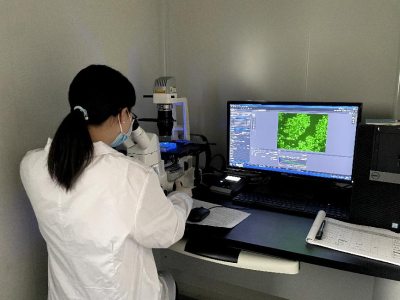 从跨境检疫到基层养殖，全链条筑牢动物防疫网 | 新春走基层