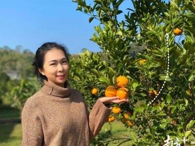 全国人大代表，肇庆市德庆县东璞生态农业有限公司总经理、党支部书记陈慧：用科技读懂泥土“心事”，在云端架起“致富桥”