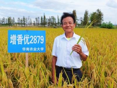 漠阳人物 | 三副对联一初心，80岁茹书记的泥土人生