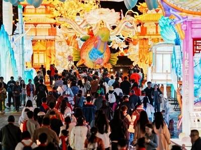 元宵灯火暖！南沙组织新就业群体畅游大湾区灯会