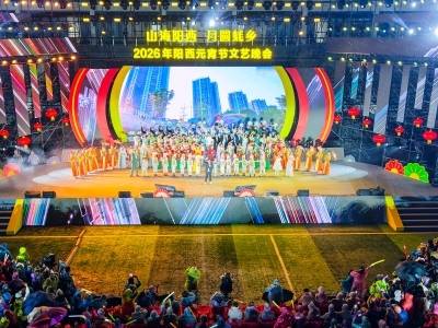 丹江时评 | 雨润蚝乡情更浓，这场元宵晚会见阳西真章