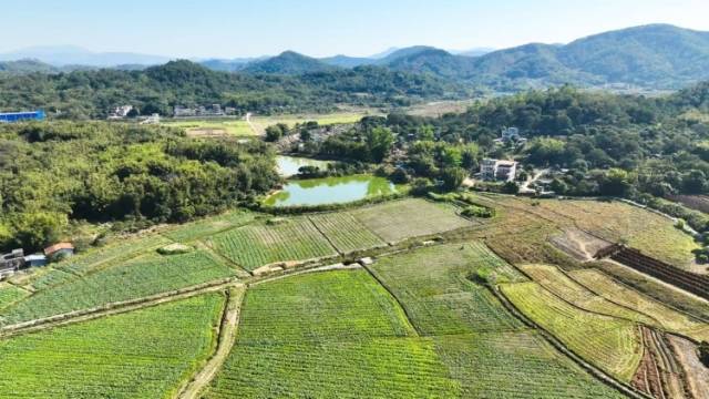 慢直播 | 万象“耕”新不负春