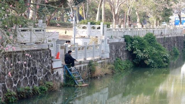 深读｜从黑臭河到“黄金岸”，中山大溪河的生态增值之路