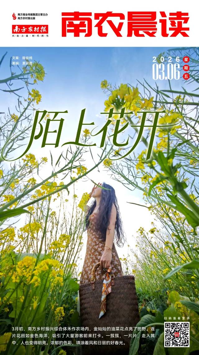 南方农村报 巢芮 制图