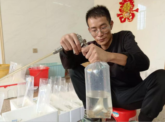 创业青年正在打包斗鱼