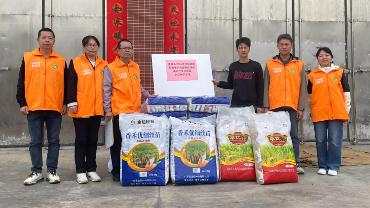 6600斤良种到户！博罗农技部门“组合拳”护航春耕助增收