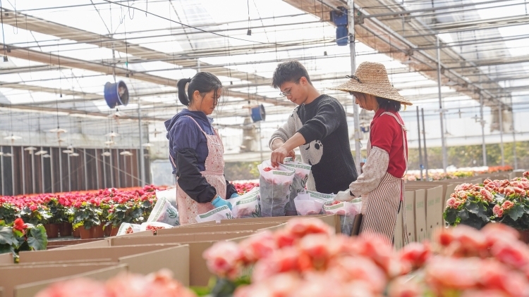 民生为大！速览政府工作报告→