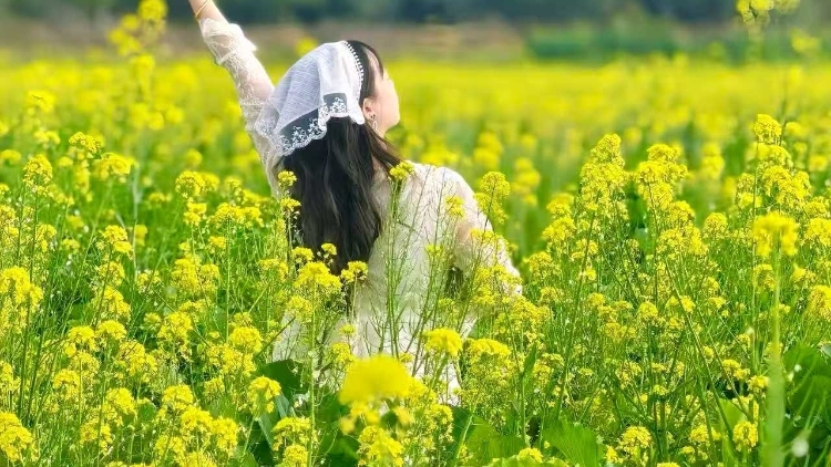 南农晨读 | 陌上花开