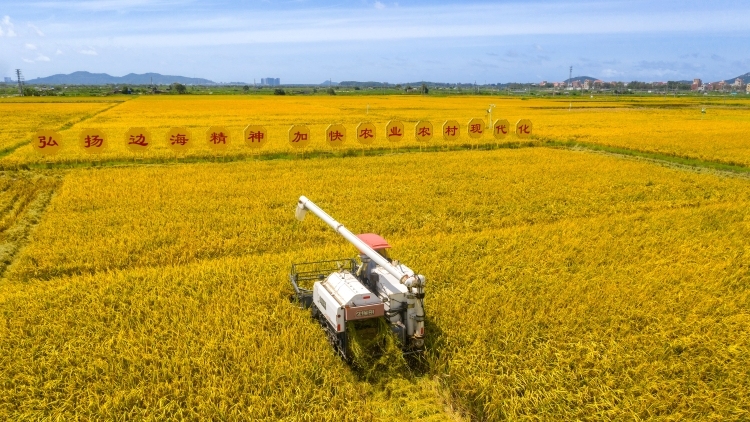 政府工作报告：今年推进乡村全面振兴这样干！