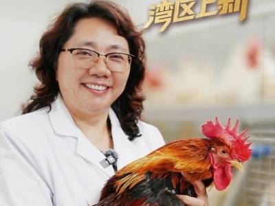 广东人吃鸡的“底牌”，被我们找到了 | 湾区上“新”