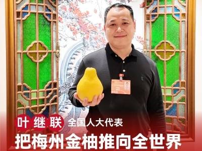 全国人大代表叶继联：把梅州金柚推向全世界